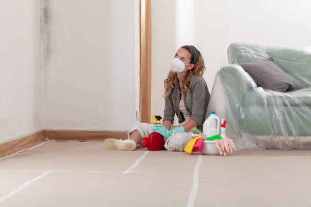 Reliable Mold Testing contractor in Oxford, MD by WQB Mold Removal